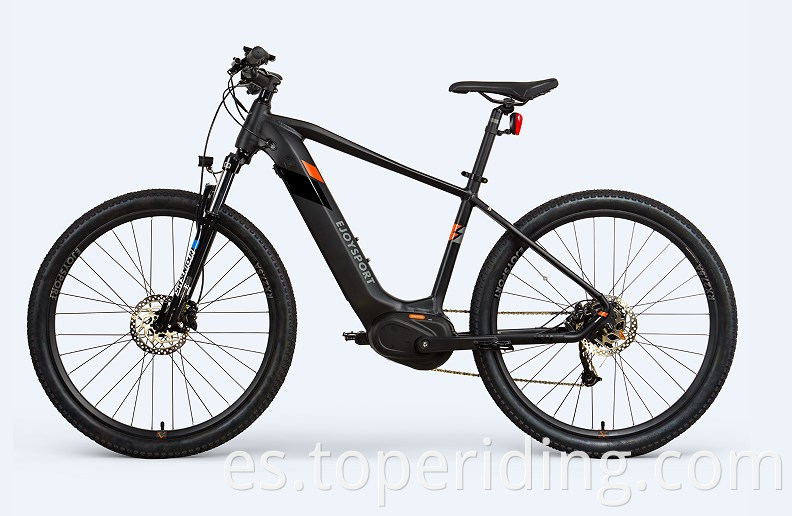 Electric Bike Zoom